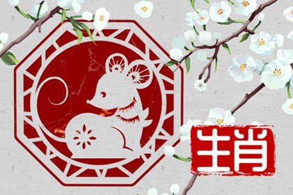 2022年春节生肖鼠禁忌 属鼠人如何过新年