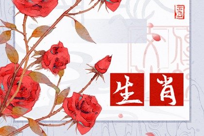 生肖属兔最好的结婚年龄 最佳婚配是谁呢