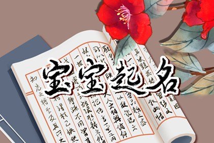 虎年取名宜用字根 有福气名字参考