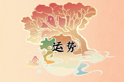 属兔的用什么头像最旺财，绿植财神爷招财