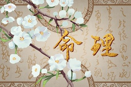 每天五行穿衣 2023年5月28日五行属什么 幸运颜色