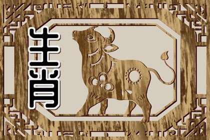 生肖属牛：执着坚韧，勤奋努力的“牛之精魂”