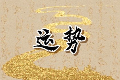 属猪人2024年运势 新的一年里将有何种变化