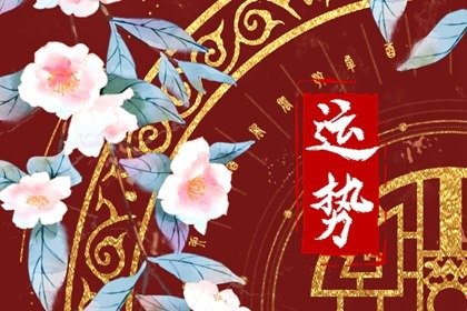 狂月天时 每日12星座运势2024.6.29